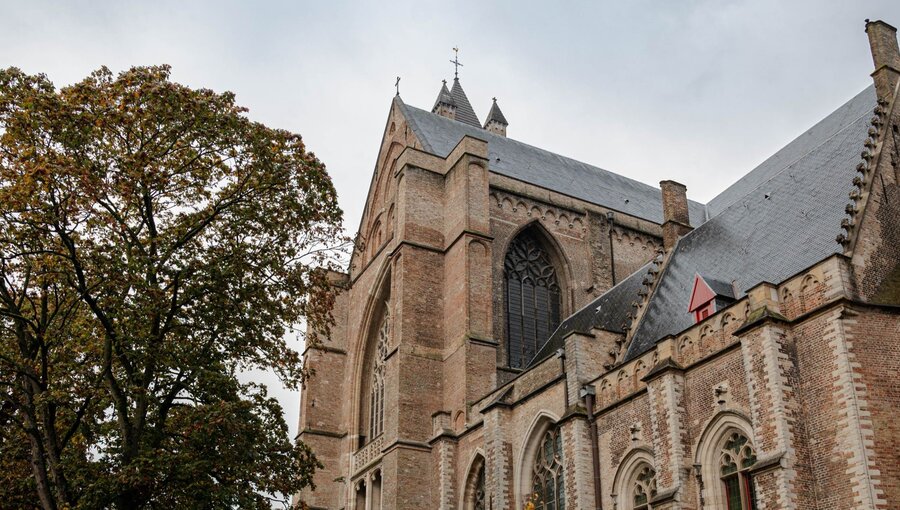 Ein historisches Kirchengebäude mit markanten, gotischen Elementen und einem hohen Dach. Der Himmel ist bewölkt, und im Vordergrund steht ein Baum mit herbstlichen Blättern. Die Architektur zeigt feine Details an Fenstern und Türen.