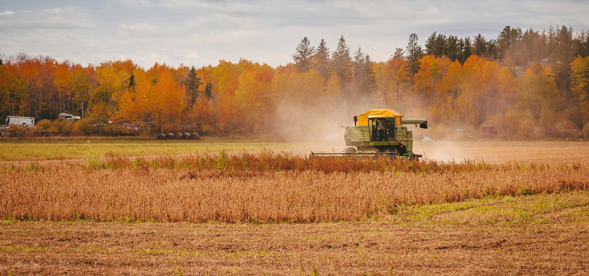 Ein Erntewagen fährt über ein Feld, umgeben von hohen, goldenen Gräsern. Im Hintergrund sind Bäume mit buntem Laub in Herbsttönen zu sehen. Der Himmel ist teils bewölkt, und Staub wirbelt von der Erntearbeit auf.