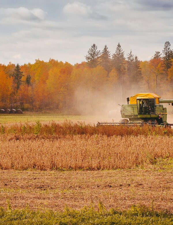 Ein Erntewagen fährt über ein Feld, umgeben von hohen, goldenen Gräsern. Im Hintergrund sind Bäume mit buntem Laub in Herbsttönen zu sehen. Der Himmel ist teils bewölkt, und Staub wirbelt von der Erntearbeit auf.