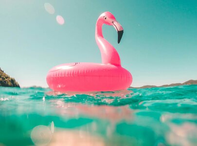 Ein pinkfarbener Flamingo-Schwimmreifen schwimmt auf klarem, turquoise Wasser. Der Himmel ist sonnig und blau, mit einigen Lichtreflexionen auf der Wasseroberfläche. Im Hintergrund sind vage Umrisse von Hügeln oder Land zu erkennen.