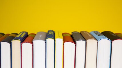 Eine Reihe von Buchrücken steht vor einem gelben Hintergrund. Die Bücher sind in verschiedenen Farben und Größen angeordnet, mit einigen Titeln sichtbar, die in unterschiedlichem Format gedruckt sind.