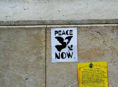 Ein Plakat mit der Aufschrift "PEACE NOW" in großem, schwarzem Schriftzug. Darunter sind eine Friedenstaube und ein Zweig abgebildet. Das Plakat ist an einer grauen Wand befestigt.