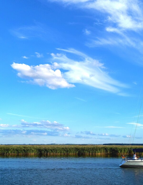 Ein Segelboot fährt ruhig auf einem Gewässer, umgeben von grünen Uferpflanzen. Der Himmel ist blau mit weißen Wolken, die sanft dahin ziehen. Die Szenerie vermittelt ein Gefühl von Frieden und Freiheit in der Natur.