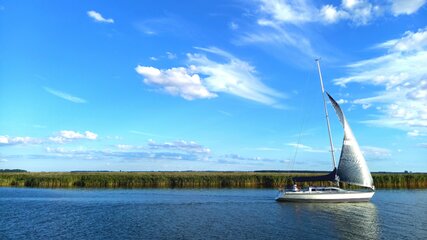 Ein Segelboot fährt ruhig auf einem Gewässer, umgeben von grünen Uferpflanzen. Der Himmel ist blau mit weißen Wolken, die sanft dahin ziehen. Die Szenerie vermittelt ein Gefühl von Frieden und Freiheit in der Natur.