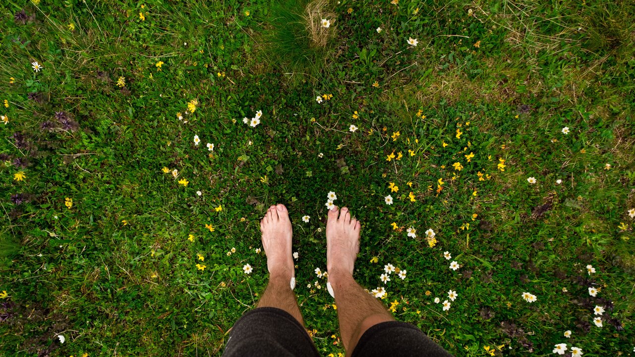 Ein Paar barfuß stehende Füße auf einer Wiese, umgeben von bunten Blumen. Die Perspektive zeigt den Blick von oben auf die Füße und den grünen Boden, der mit verschiedenen Wildblumen übersät ist.