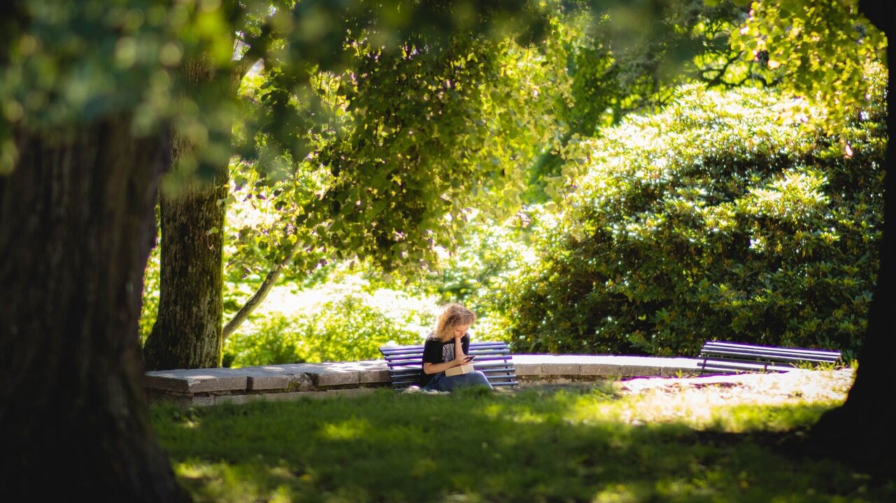 Eine Person sitzt auf einer Bank in einem Park, umgeben von grünen Bäumen und Sträuchern. Sie liest oder schreibt etwas auf ihrem Mobilgerät, während die Sonne durch die Blätter scheint und eine ruhige, einladende Atmosphäre schafft.