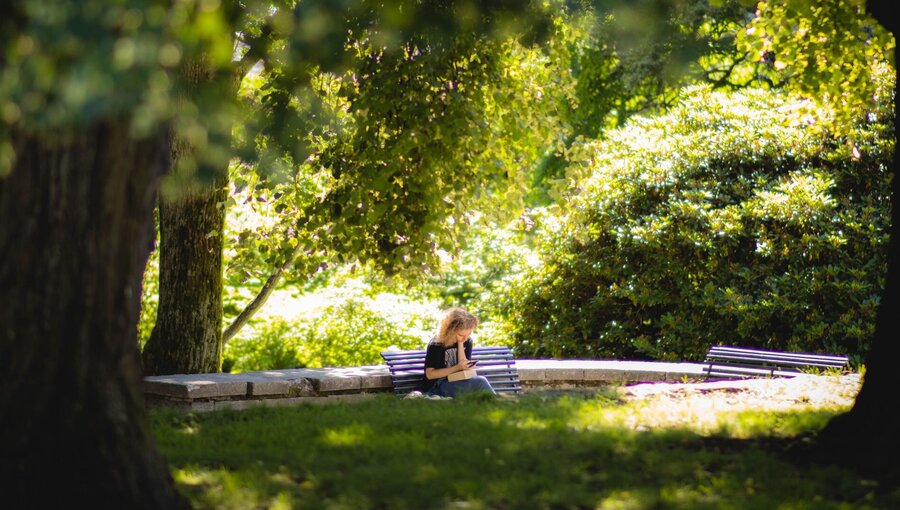 Eine Person sitzt auf einer Bank in einem Park, umgeben von grünen Bäumen und Sträuchern. Sie liest oder schreibt etwas auf ihrem Mobilgerät, während die Sonne durch die Blätter scheint und eine ruhige, einladende Atmosphäre schafft.