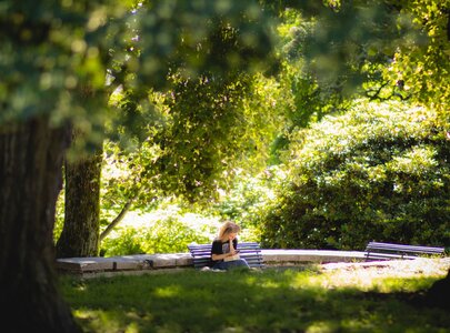 Eine Person sitzt auf einer Bank in einem Park, umgeben von grünen Bäumen und Sträuchern. Sie liest oder schreibt etwas auf ihrem Mobilgerät, während die Sonne durch die Blätter scheint und eine ruhige, einladende Atmosphäre schafft.