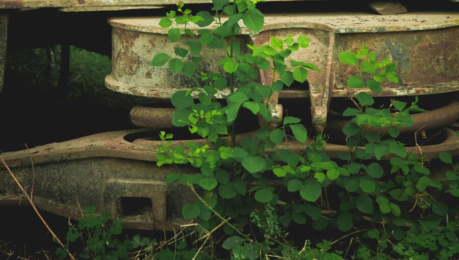Eine grüne Pflanze wächst zwischen verrosteten Metallplatten, die unter einem großen, grünen Objekt liegen. Die Pflanze hebt sich lebhaft von der abgenutzten, industriellen Umgebung ab und symbolisiert das Leben, das sich in einem vernachlässigten Raum entfaltet.
