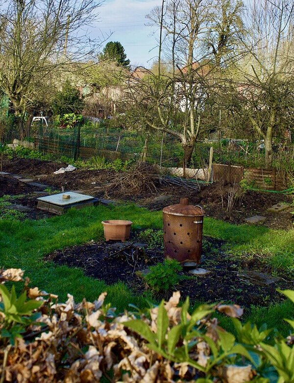 Ein Garten mit verschiedenen Pflanzen und Bäumen, mehrere Beete sind sichtbar, einige sind unbewachsen. Im Hintergrund sind einige Gartenmöbel und ein Wassertank zu sehen. Der Himmel ist klar mit wenigen Wolken. Es herrscht eine ruhige, natürliche Umgebung.