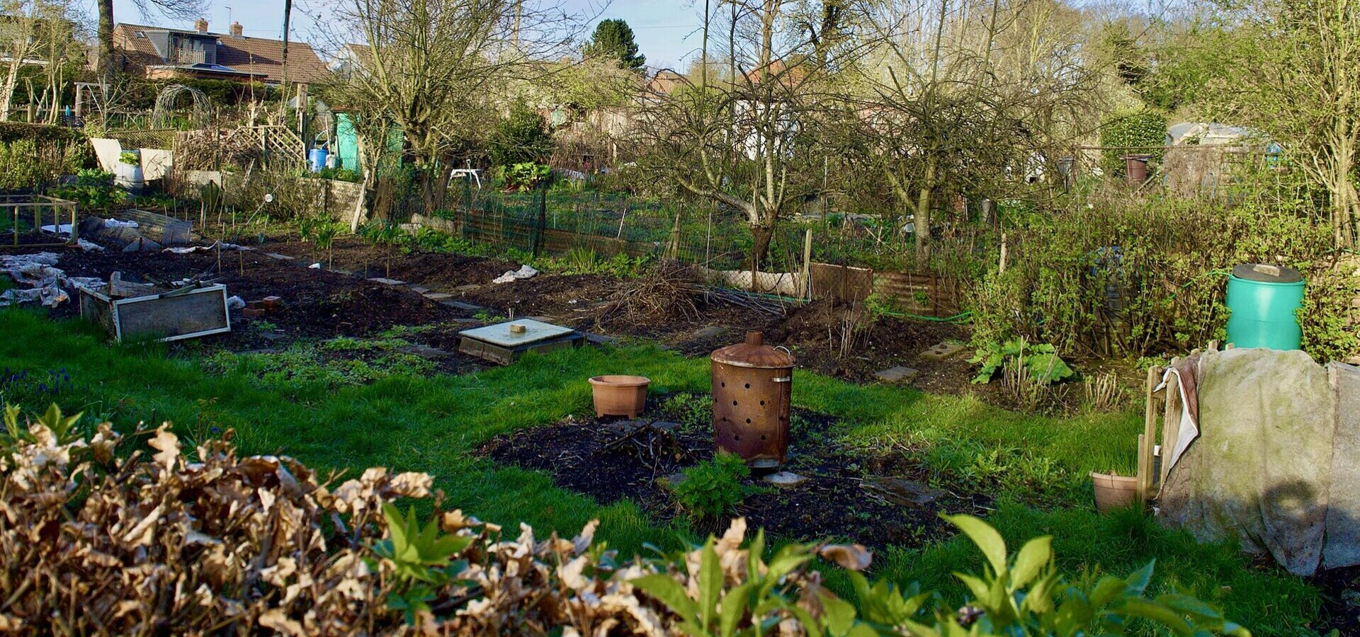 Ein Garten mit verschiedenen Pflanzen und Bäumen, mehrere Beete sind sichtbar, einige sind unbewachsen. Im Hintergrund sind einige Gartenmöbel und ein Wassertank zu sehen. Der Himmel ist klar mit wenigen Wolken. Es herrscht eine ruhige, natürliche Umgebung.