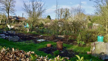 Ein Garten mit verschiedenen Pflanzen und Bäumen, mehrere Beete sind sichtbar, einige sind unbewachsen. Im Hintergrund sind einige Gartenmöbel und ein Wassertank zu sehen. Der Himmel ist klar mit wenigen Wolken. Es herrscht eine ruhige, natürliche Umgebung.