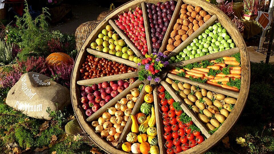 Ein großer Holzrad befindet sich im Freien, gefüllt mit verschiedenen Obst- und Gemüsesorten, die farbenfroh angeordnet sind. Die Segmente enthalten Äpfel, Birnen, Trauben, Nüsse, Kürbisse und Karotten. In der Mitte ist ein kleiner Blumenschmuck platziert.