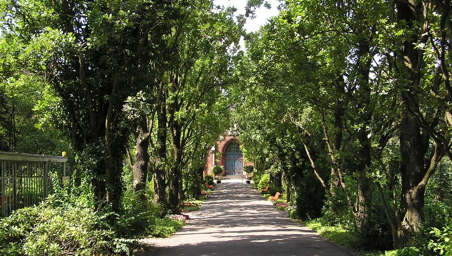 Ein schmaler Weg führt durch eine Allee mit hohen Bäumen. Am Ende des Weges ist ein Gebäude mit einer großen Eingangstür zu sehen. Der Weg und die Umgebung sind von grünen Pflanzen gesäumt, die eine ruhige und einladende Atmosphäre schaffen.