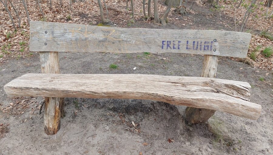 Eine verwitterte Holzbank steht in einer Waldumgebung. Auf der Rückenlehne ist der Schriftzug "FREE LUIT" sichtbar. Der Boden ist sandig und von herabgefallenem Laub umgeben.