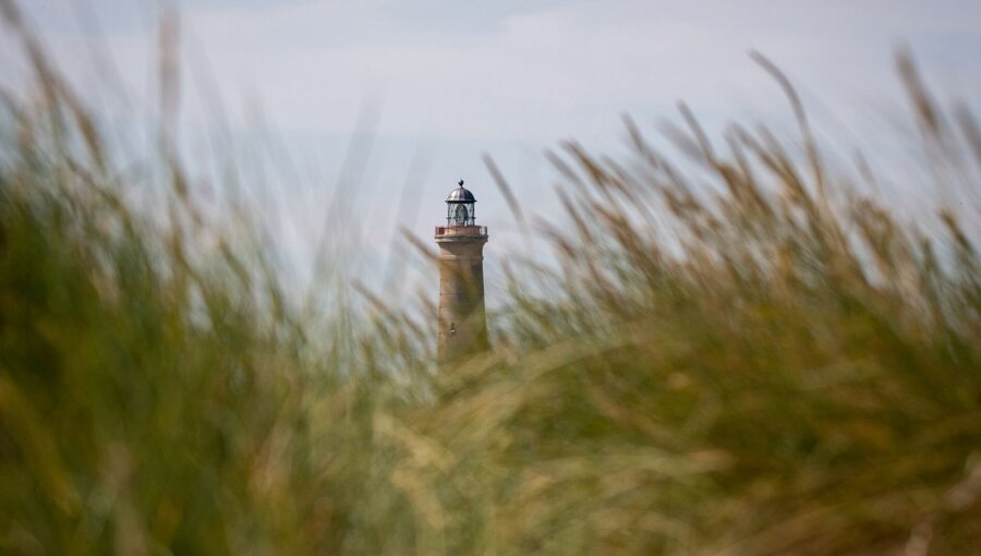 Ein Leuchtturm ragt durch hohes Gras, mit einer Laterne an der Spitze. Der Himmel ist klar und es gibt eine sanfte, entspannte Atmosphäre. Der Leuchtturm steht symbolisch für Orientierung und Sicherheit an der Küste.