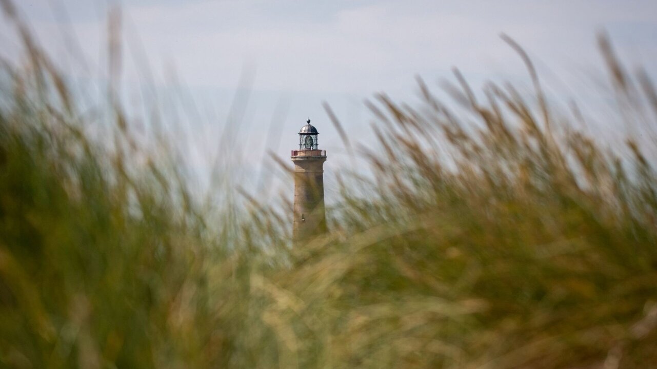 Ein Leuchtturm ragt durch hohes Gras, mit einer Laterne an der Spitze. Der Himmel ist klar und es gibt eine sanfte, entspannte Atmosphäre. Der Leuchtturm steht symbolisch für Orientierung und Sicherheit an der Küste.